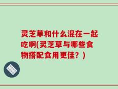灵芝草和什么混在一起吃啊(灵芝草与哪些食物搭配食用更佳？)