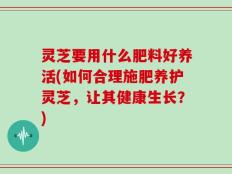 灵芝要用什么肥料好养活(如何合理施肥养护灵芝，让其健康生长？)