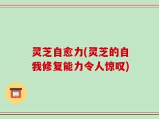灵芝自愈力(灵芝的自我修复能力令人惊叹)