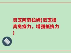 灵芝阿奇拉姆(灵芝提高免疫力，增强抵抗力)