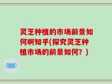 灵芝种植的市场前景如何啊知乎(探究灵芝种植市场的前景如何？)