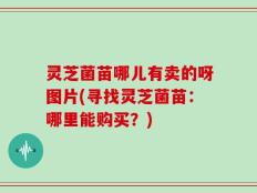 灵芝菌苗哪儿有卖的呀图片(寻找灵芝菌苗：哪里能购买？)