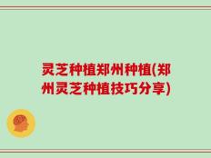 灵芝种植郑州种植(郑州灵芝种植技巧分享)