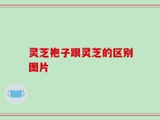 灵芝袍子跟灵芝的区别图片