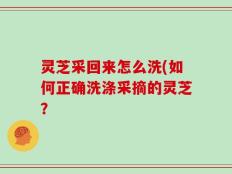 灵芝采回来怎么洗(如何正确洗涤采摘的灵芝？