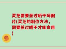 灵芝需要蒸过晒干吗图片(灵芝的制作方法，需要蒸过晒干才能食用)