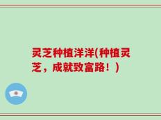 灵芝种植洋洋(种植灵芝，成就致富路！)