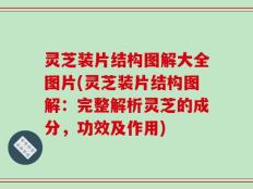 灵芝装片结构图解大全图片(灵芝装片结构图解：完整解析灵芝的成分，功效及作用)