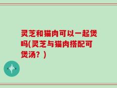 灵芝和猫肉可以一起煲吗(灵芝与猫肉搭配可煲汤？)