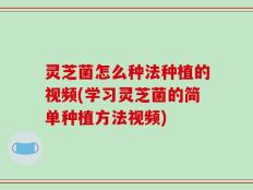 灵芝菌怎么种法种植的视频(学习灵芝菌的简单种植方法视频)