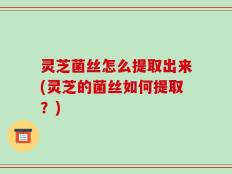 灵芝菌丝怎么提取出来(灵芝的菌丝如何提取？)