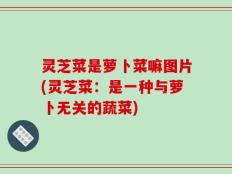 灵芝菜是萝卜菜嘛图片(灵芝菜：是一种与萝卜无关的蔬菜)