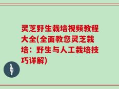 灵芝野生栽培视频教程大全(全面教您灵芝栽培：野生与人工栽培技巧详解)