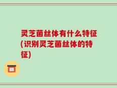 灵芝菌丝体有什么特征(识别灵芝菌丝体的特征)