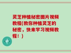 灵芝种植秘密图片视频教程(教你种植灵芝的秘密，快来学习视频教程！)