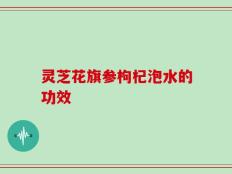 灵芝花旗参枸杞泡水的功效