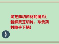 灵芝鲜切药材的图片(新鲜灵芝切片，珍贵药材随手下锅)