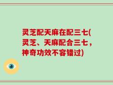 灵芝配天麻在配三七(灵芝、天麻配合三七，神奇功效不容错过)