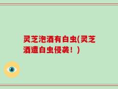 灵芝泡酒有白虫(灵芝酒遭白虫侵袭！)