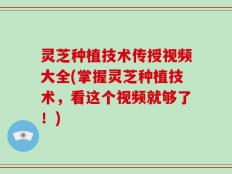 灵芝种植技术传授视频大全(掌握灵芝种植技术，看这个视频就够了！)