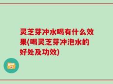 灵芝芽冲水喝有什么效果(喝灵芝芽冲泡水的好处及功效)