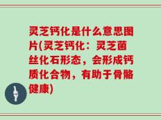 灵芝钙化是什么意思图片(灵芝钙化：灵芝菌丝化石形态，会形成钙质化合物，有助于骨骼健康)