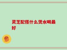灵芝配搭什么煲水喝最好