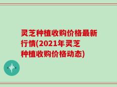 灵芝种植收购价格最新行情(2021年灵芝种植收购价格动态)