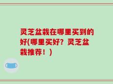 灵芝盆栽在哪里买到的好(哪里买好？灵芝盆栽推荐！)