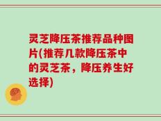灵芝降压茶推荐品种图片(推荐几款降压茶中的灵芝茶，降压养生好选择)