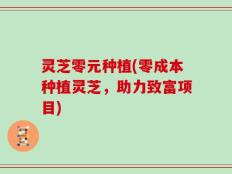 灵芝零元种植(零成本种植灵芝，助力致富项目)