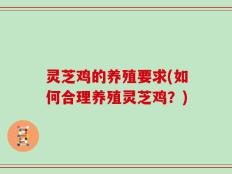 灵芝鸡的养殖要求(如何合理养殖灵芝鸡？)