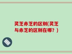 灵芝赤芝的区别(灵芝与赤芝的区别在哪？)
