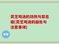 灵芝鸡汤的功效与禁忌症(灵芝鸡汤的益处与注意事项)