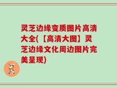 灵芝边缘变质图片高清大全(【高清大图】灵芝边缘文化周边图片完美呈现)