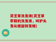灵芝草洗发液(灵芝草萃取的洗发液，呵护头发从根部到发梢)