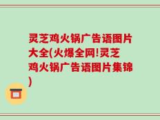 灵芝鸡火锅广告语图片大全(火爆全网!灵芝鸡火锅广告语图片集锦)