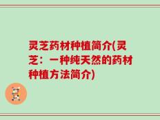 灵芝药材种植简介(灵芝：一种纯天然的药材种植方法简介)