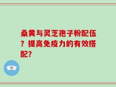 桑黄与灵芝孢子粉配伍？提高免疫力的有效搭配？