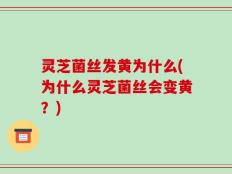 灵芝菌丝发黄为什么(为什么灵芝菌丝会变黄？)