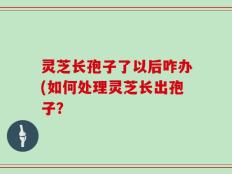 灵芝长孢子了以后咋办(如何处理灵芝长出孢子？