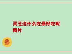 灵芝这什么吃最好吃呢图片