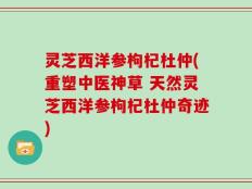 灵芝西洋参枸杞杜仲(重塑中医神草 天然灵芝西洋参枸杞杜仲奇迹)