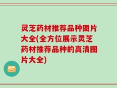 灵芝药材推荐品种图片大全(全方位展示灵芝药材推荐品种的高清图片大全)