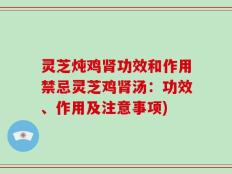 灵芝炖鸡肾功效和作用禁忌灵芝鸡肾汤：功效、作用及注意事项)