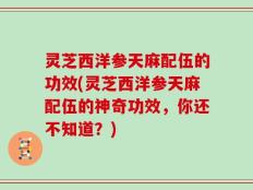 灵芝西洋参天麻配伍的功效(灵芝西洋参天麻配伍的神奇功效，你还不知道？)