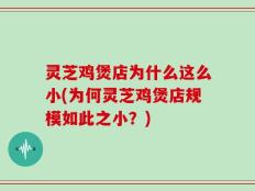 灵芝鸡煲店为什么这么小(为何灵芝鸡煲店规模如此之小？)