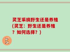 灵芝采摘野生还是养殖(灵芝：野生还是养殖？如何选择？)