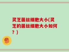 灵芝菌丝细胞大小(灵芝的菌丝细胞大小如何？)