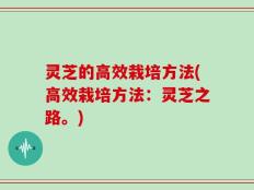 灵芝的高效栽培方法(高效栽培方法：灵芝之路。)